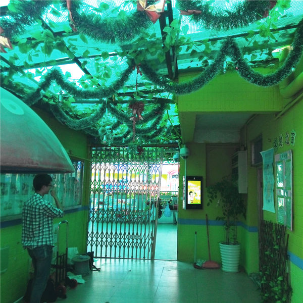 凤凰幼儿园-深圳罗湖区一级级现代化幼儿园